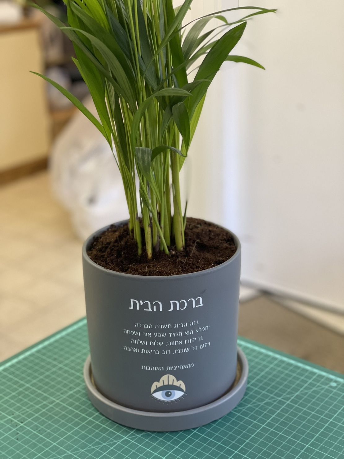 עציץ בהקדשה אישית