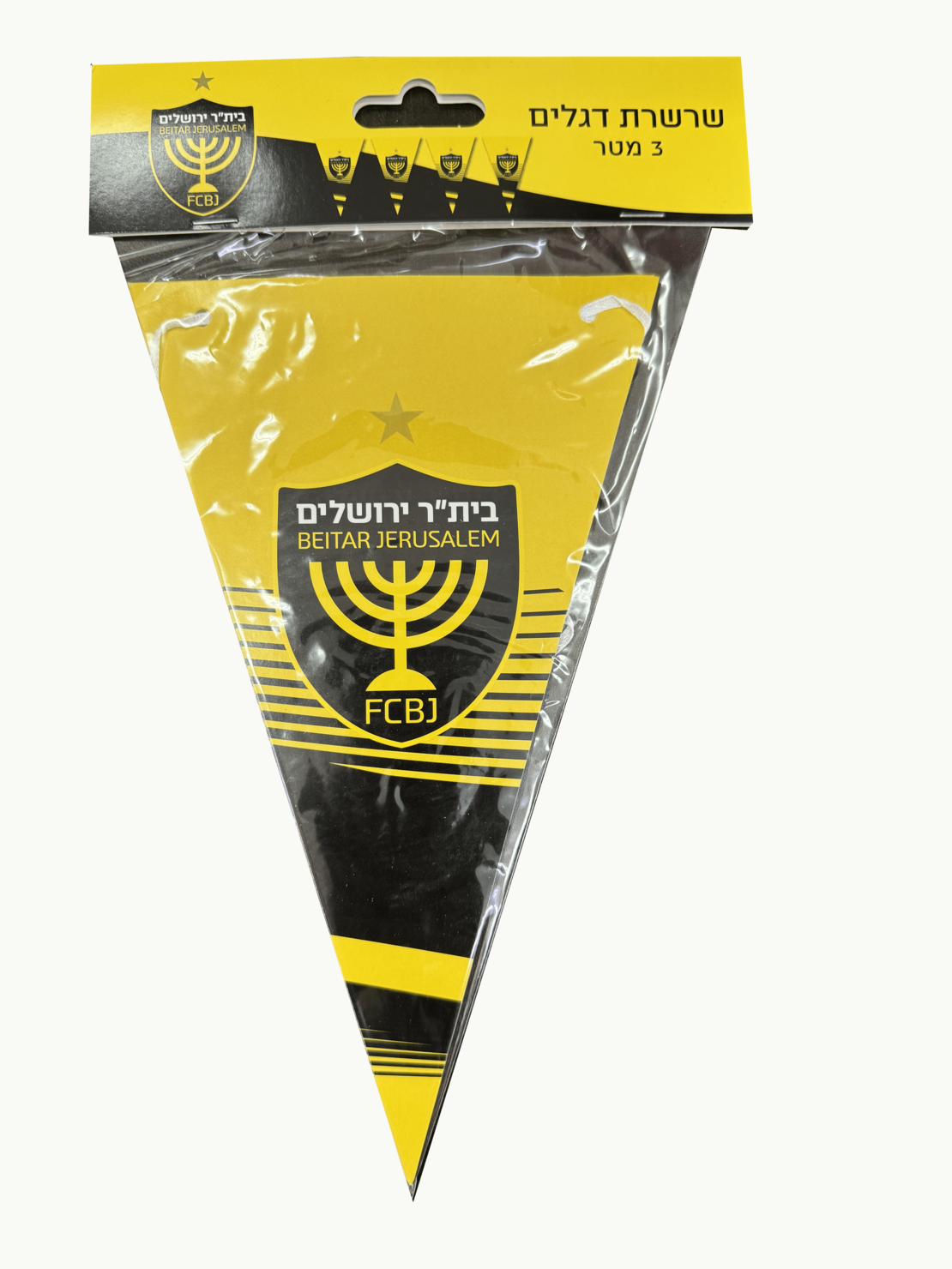 שרשרת דגלים של בית