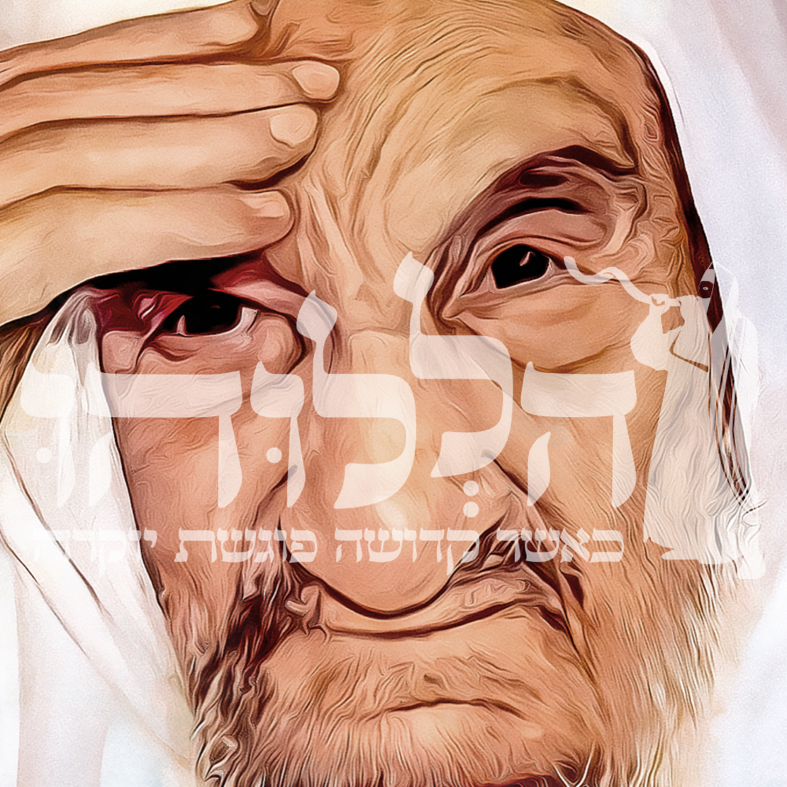 תמונת זכוכית מרהיבה הבבא סאלי דגם 3040