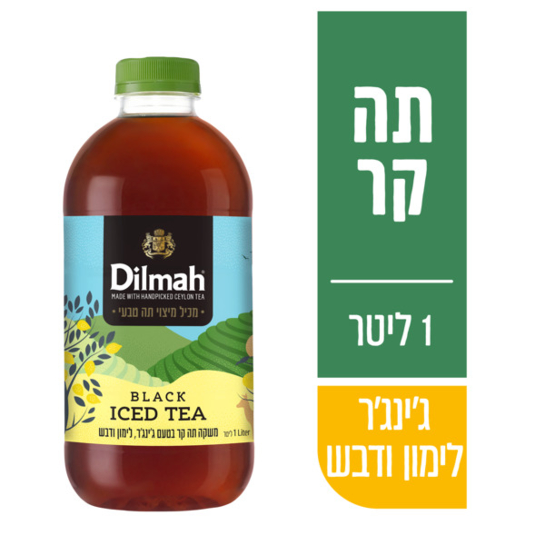 DIlmah - תה קר בטעם ג'ינג'ר לימון ודבש