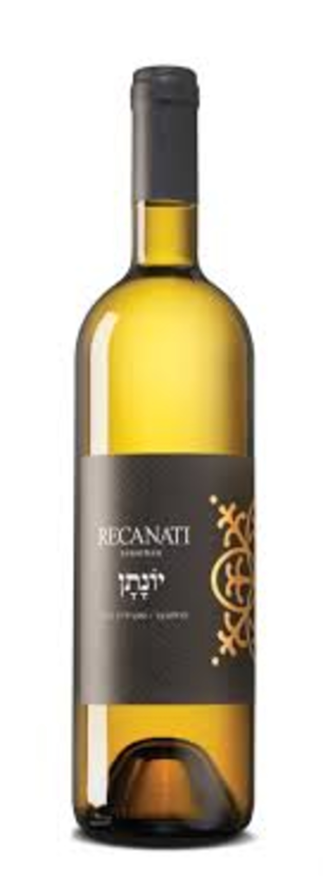 Recanati יונתן 2023
