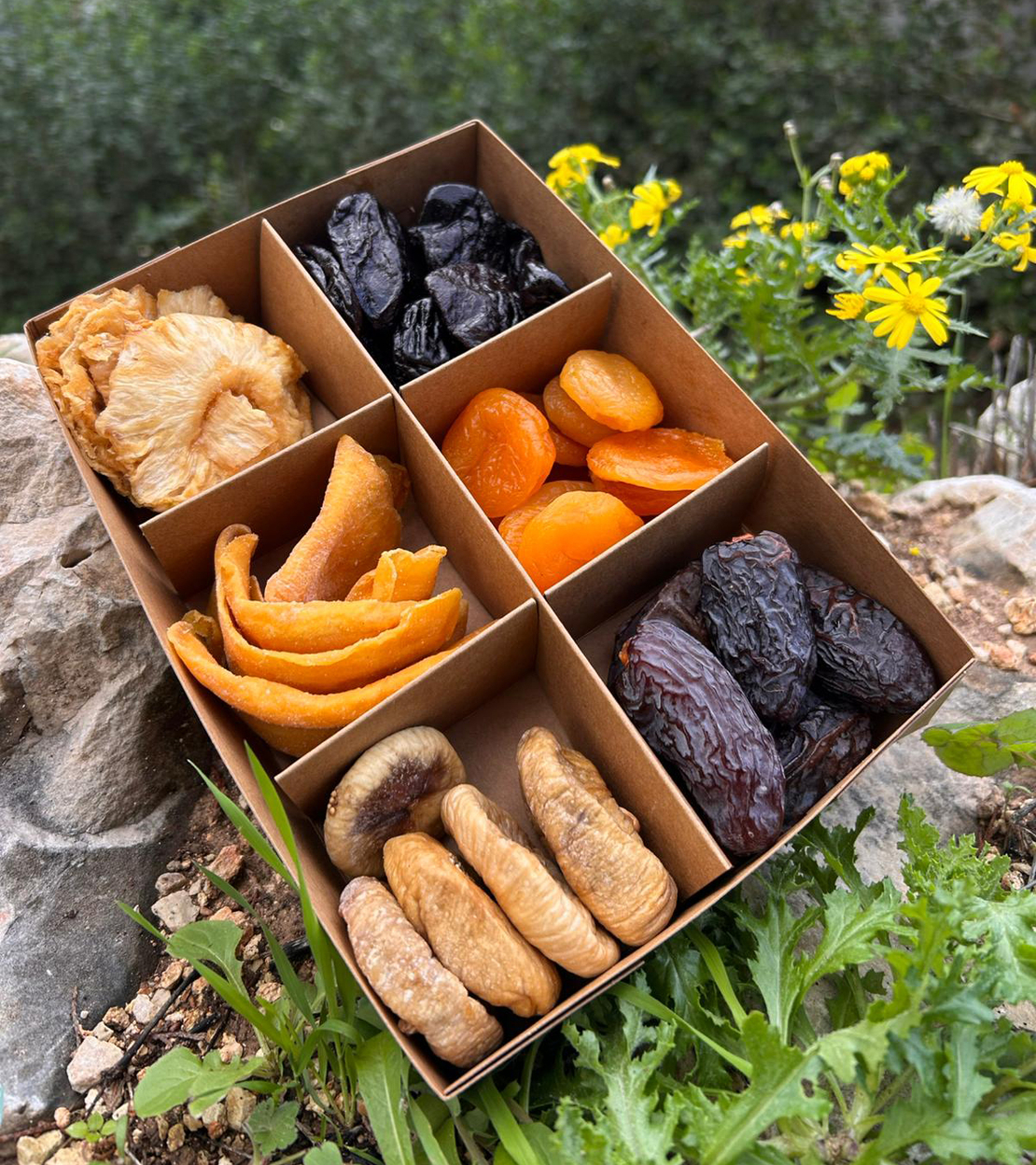 מארז פירות יבשים, שישה סוגים
