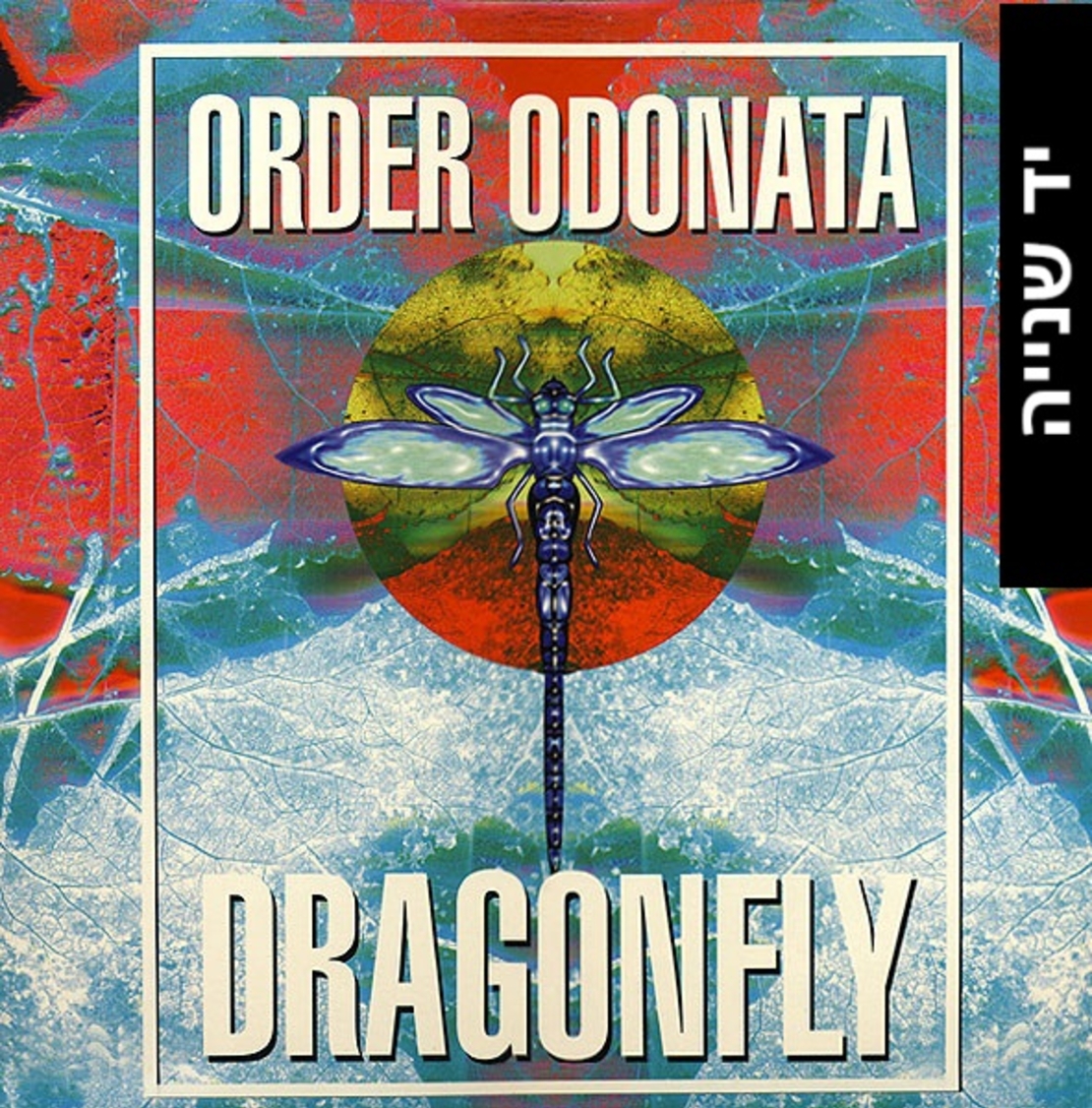 Various – Order Odonata (The Technical Use Of Sound In Magick)
