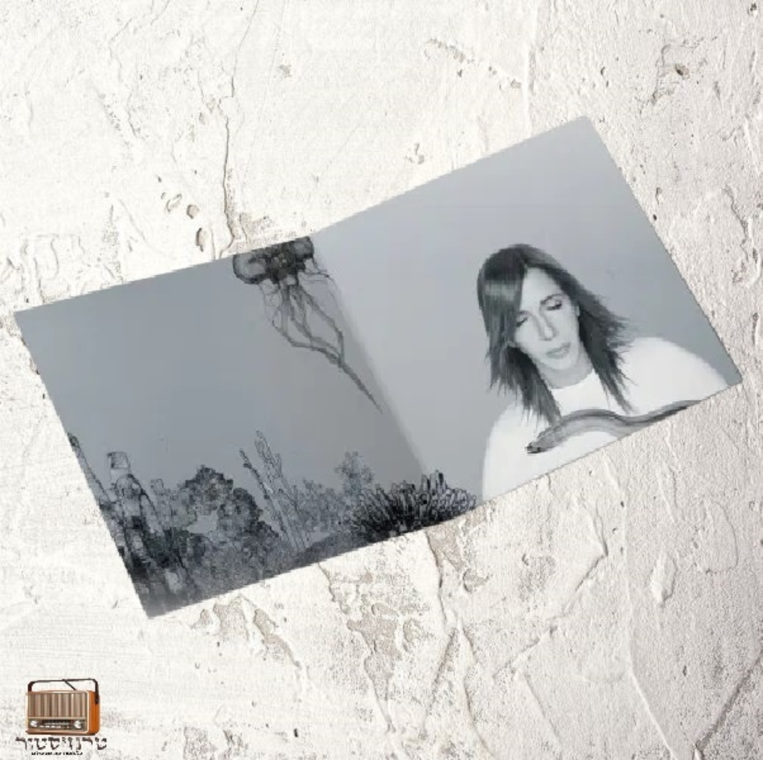 עופר ניסים- Offer Nissim