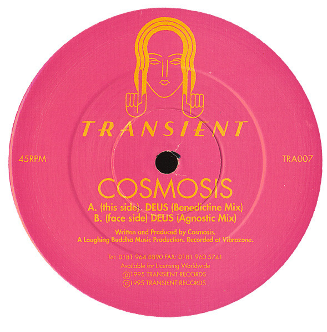 COSMOSIS-deus