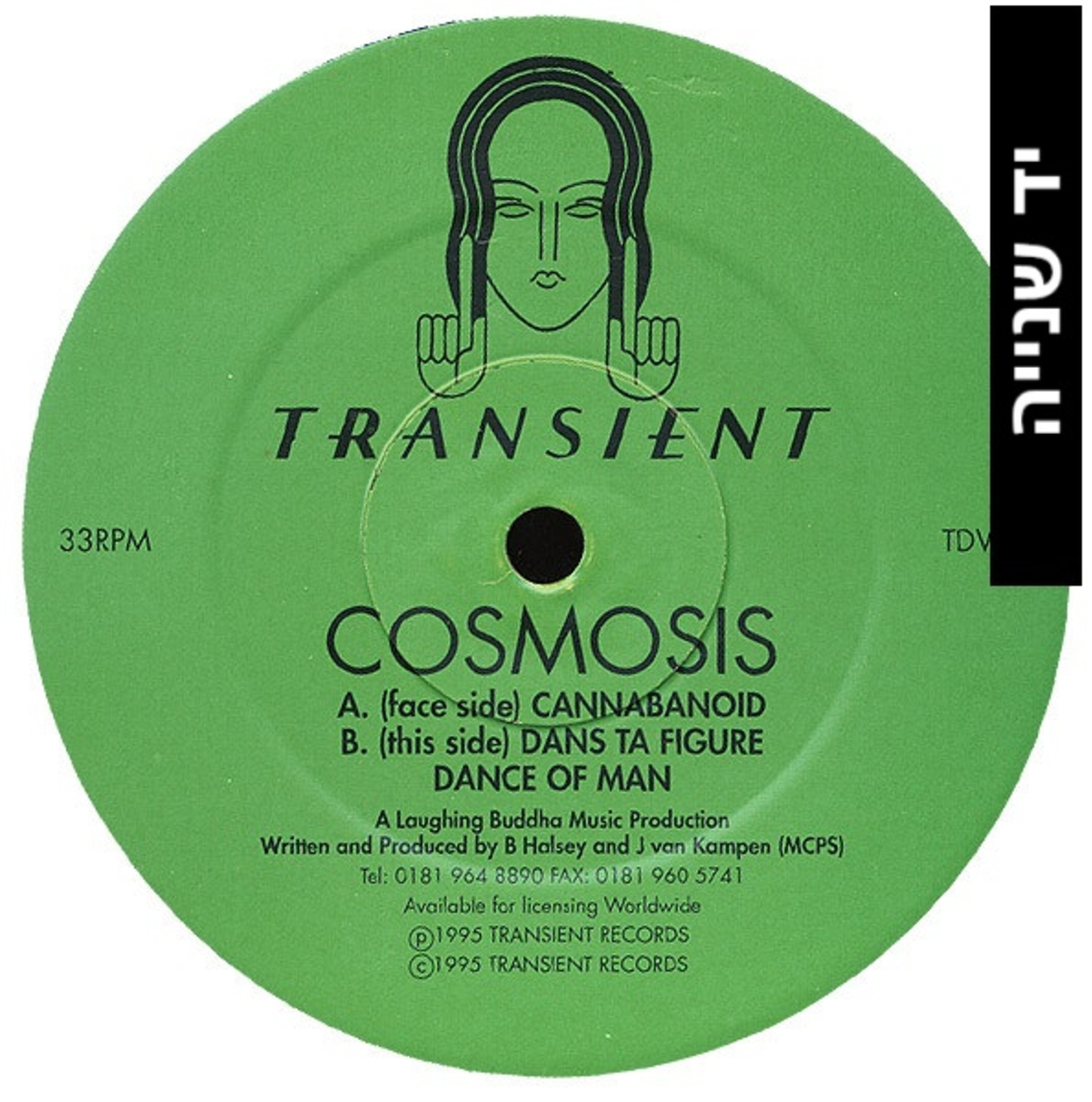 COSMOSIS – Cannabanoid E.P