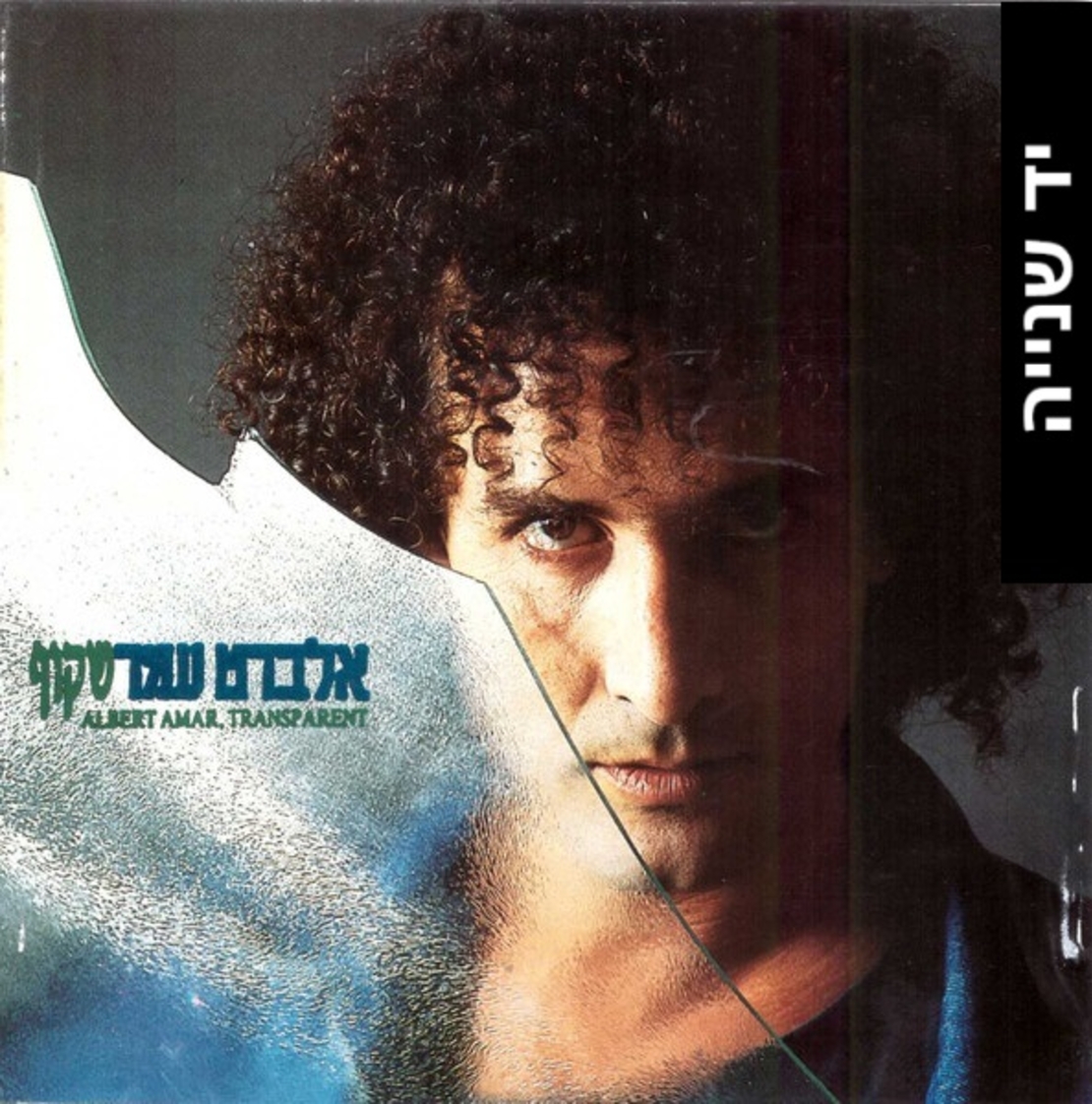 אלברט עמר- שקוף