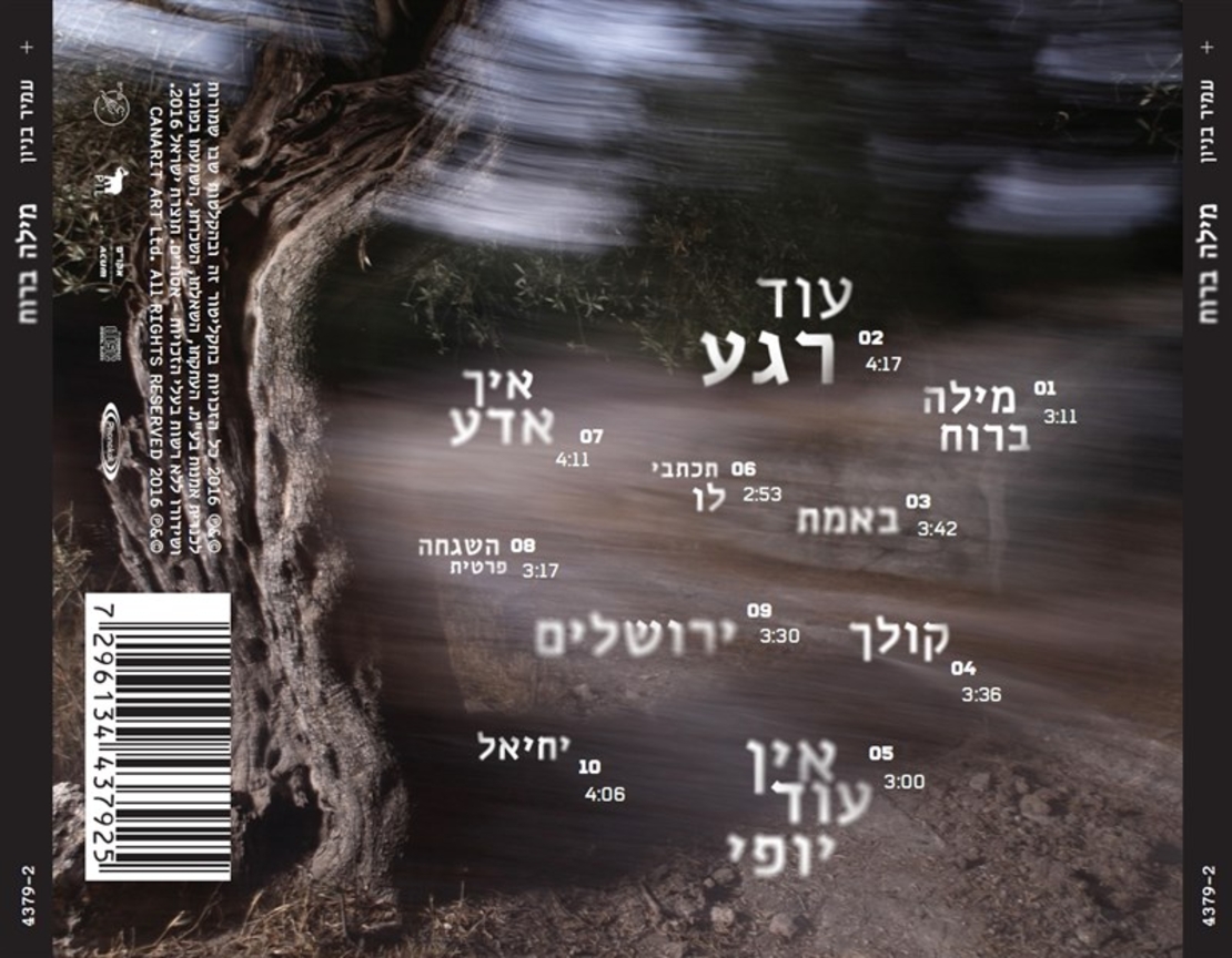 עמיר בניון- מילה ברוח