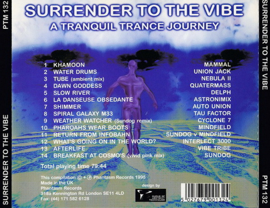 Surrender To The Vibe