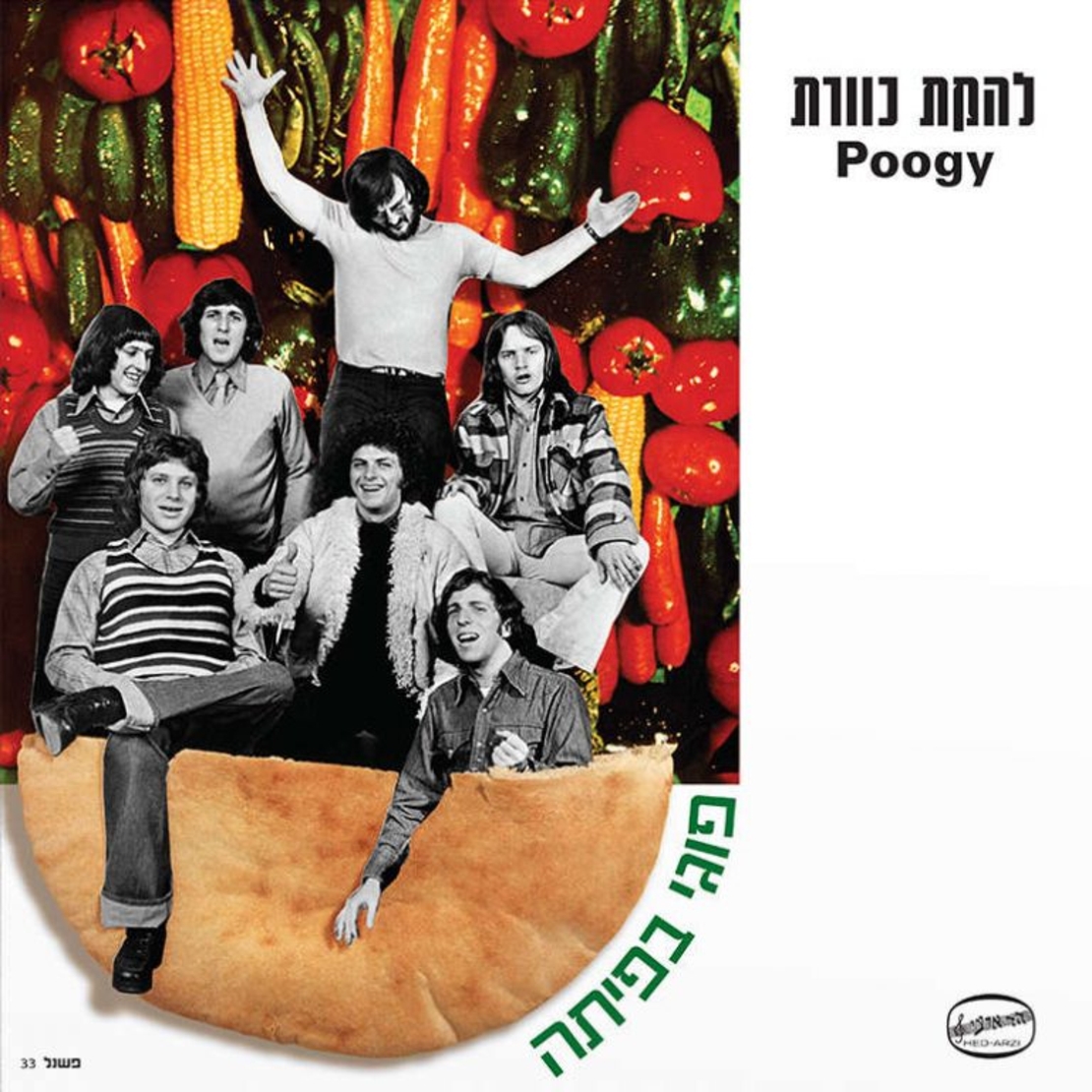 כוורת- פוגי בפיתה