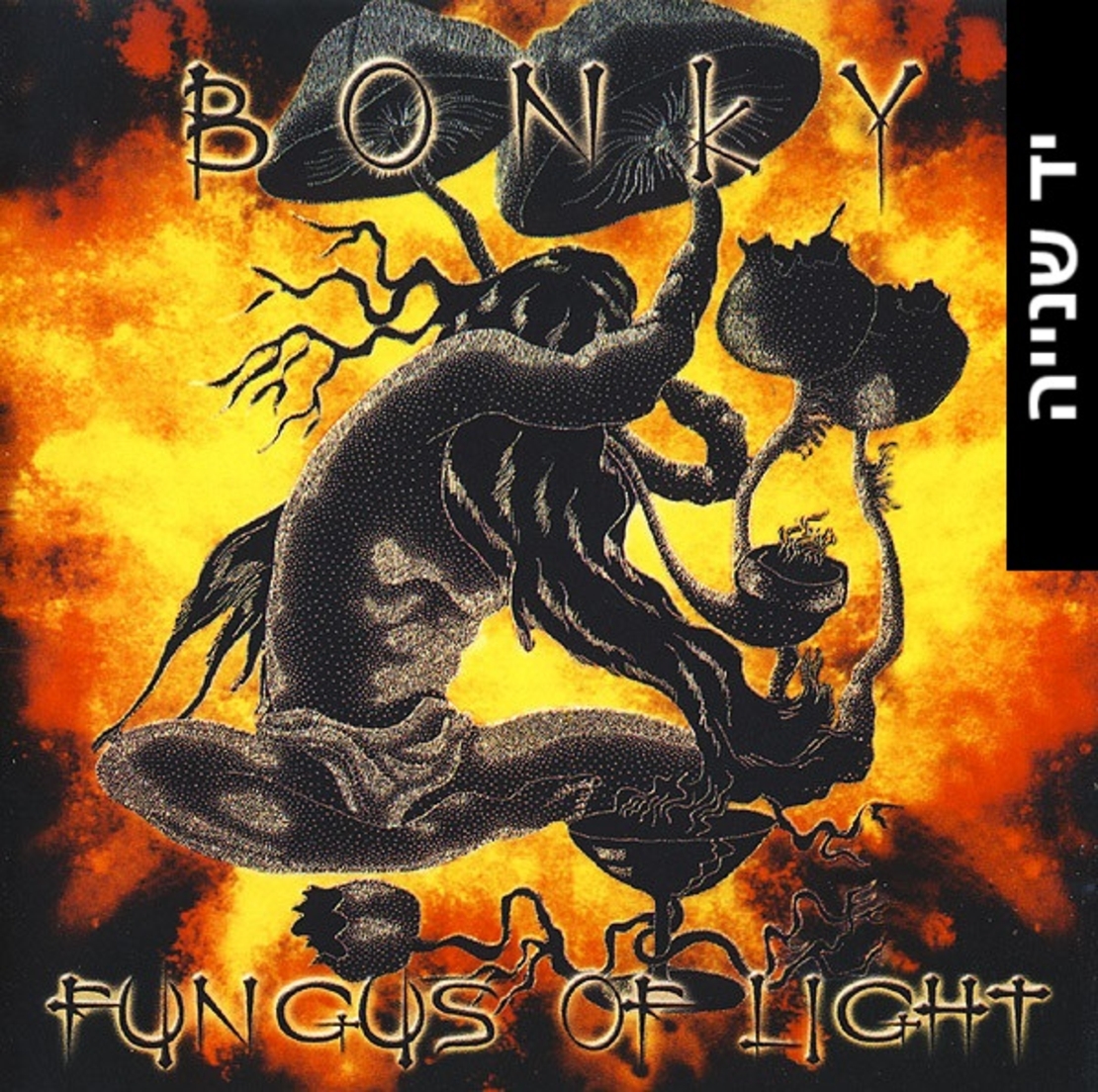 Fungus Of Light & Bonky – Fungus Of Light