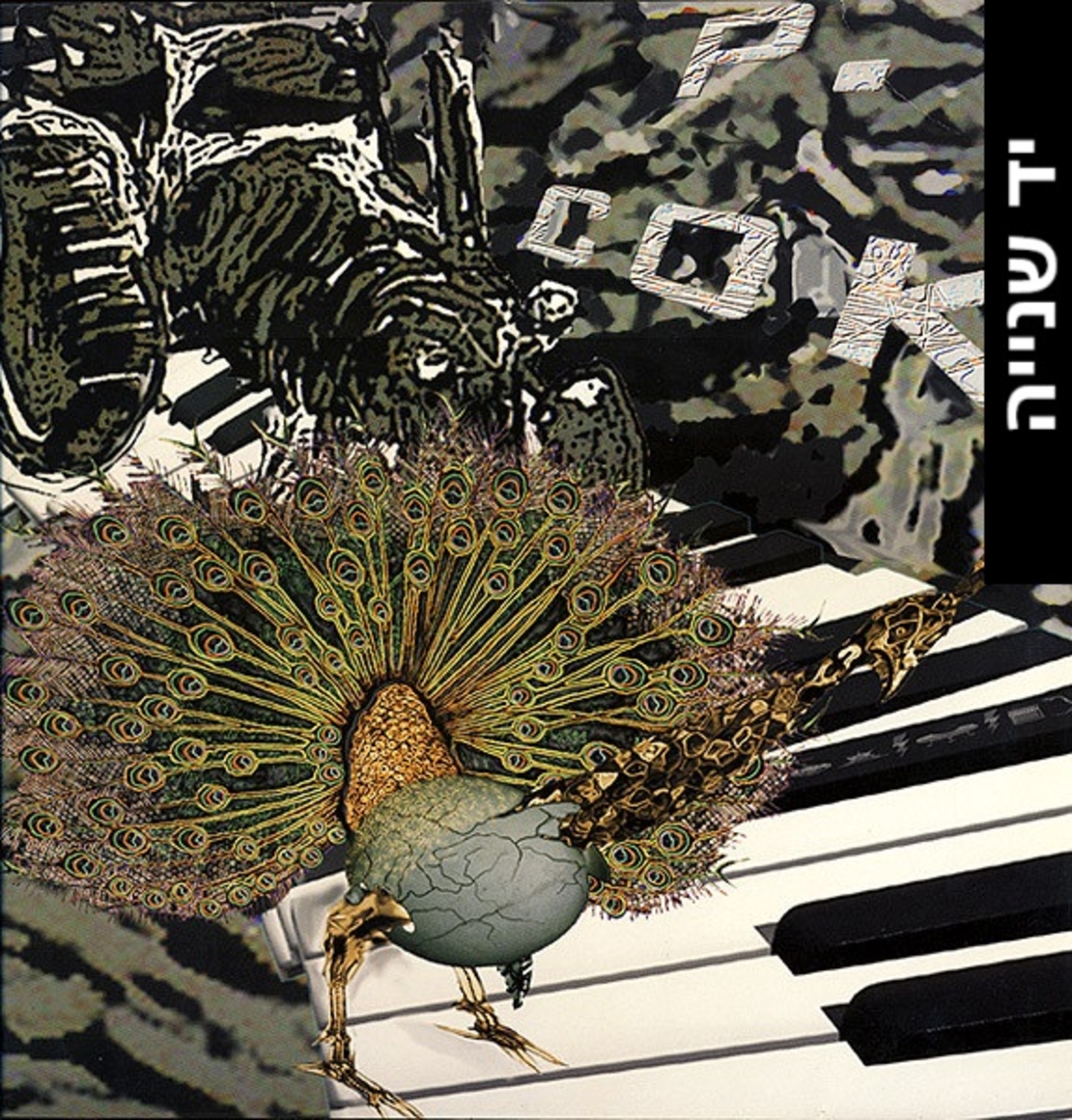 P. Cok – Low Tea Drum Add / Traktor