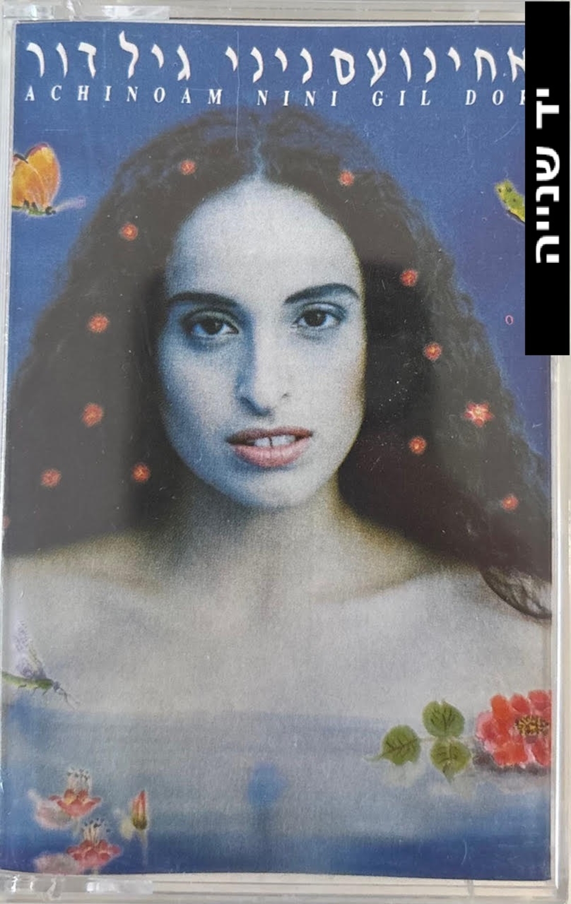 אחינועם ניני וגיל דור
