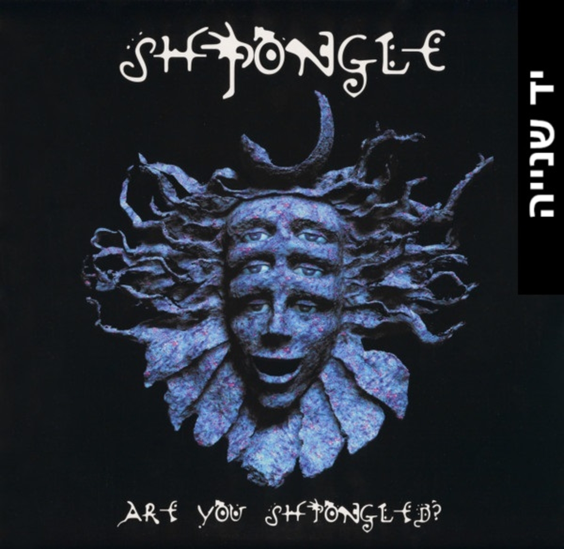 ?Shpongle – Are You Shpongled