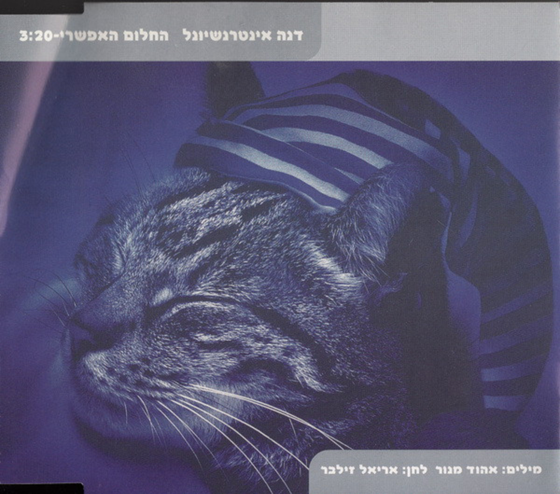 דנה אינטרנשיונל – החלום האפשרי סינגל