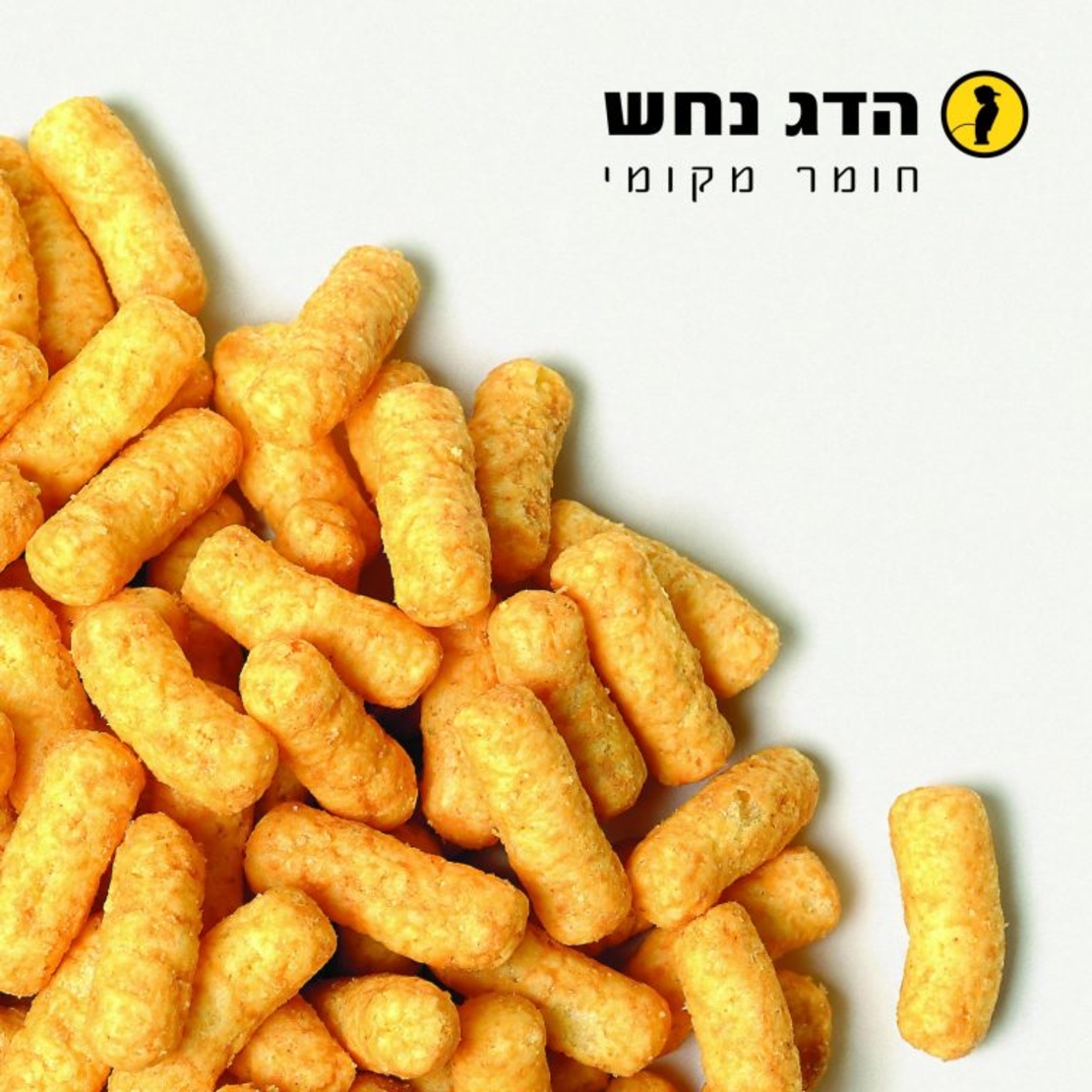 הדג נחש- חומר מקומי תקליט כפול צבעוני