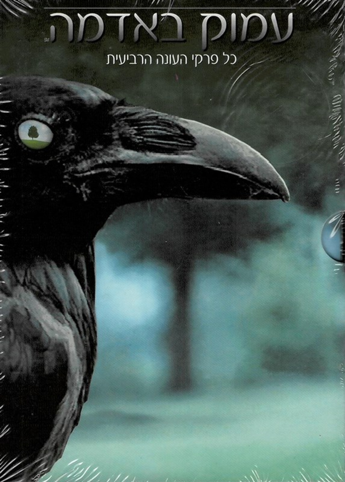 עמוק באדמה - כל פרקי העונה הרביעית Six Feet Under - Complete Season 4 (5DVD)