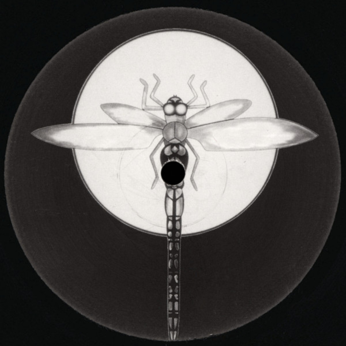 Purple – Cascades / Anoxic