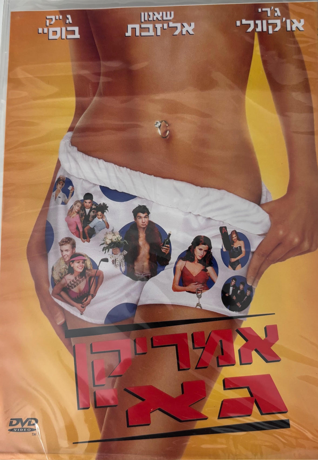 אמריקן גאי DVD