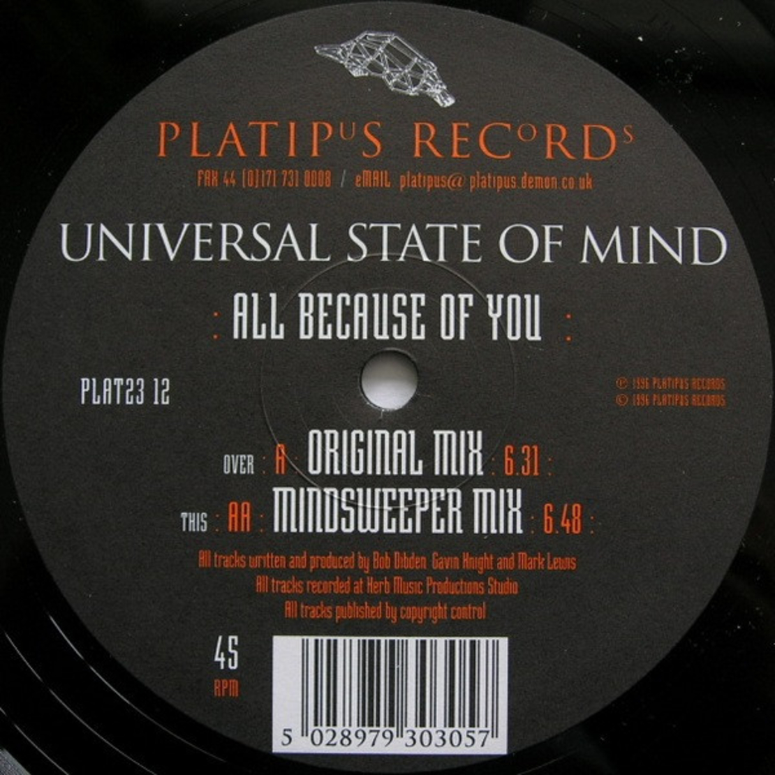 Universal State Of Mind – All Because Of You