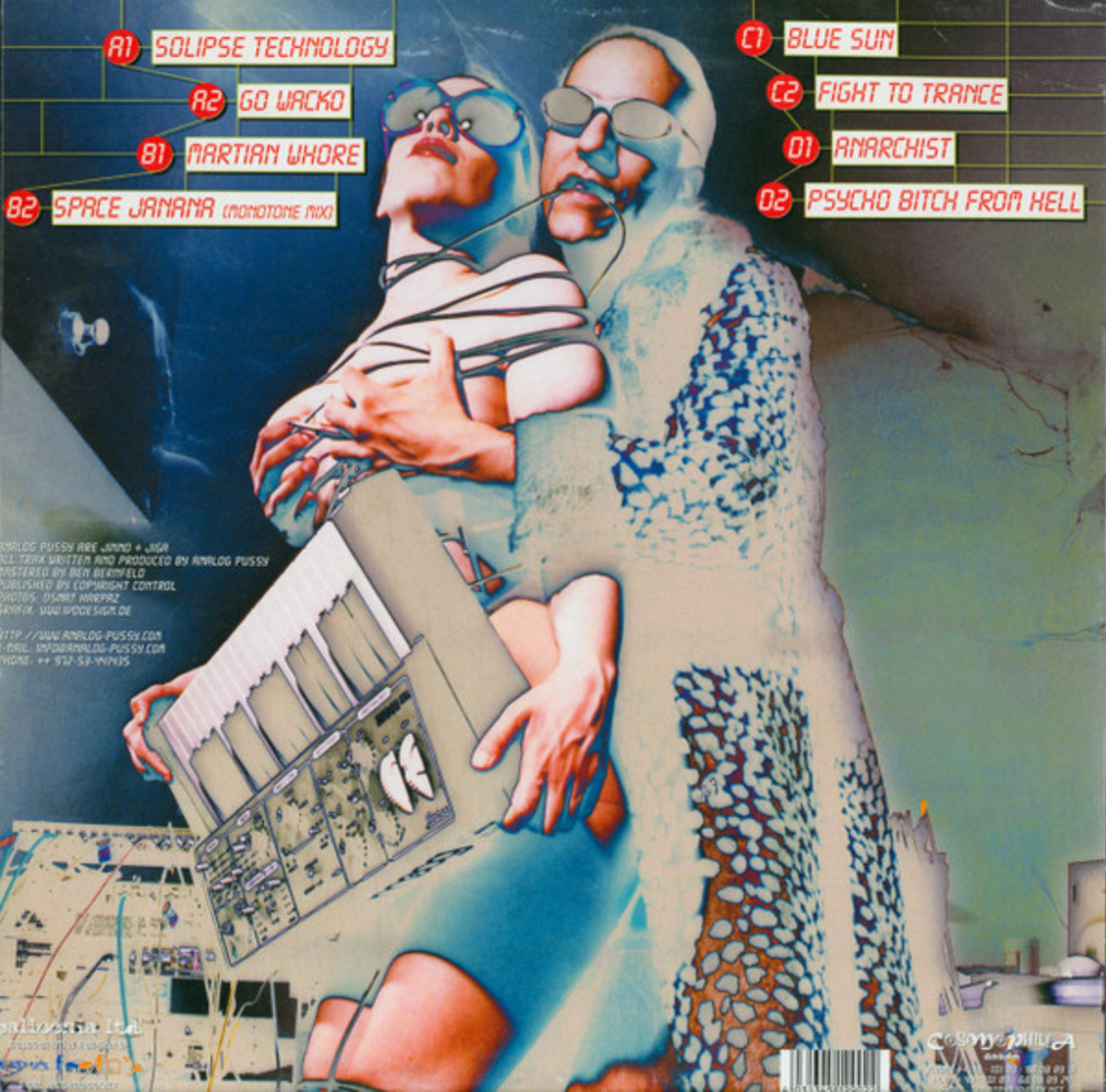 Analog Pussy – Psycho Bitch From Hell