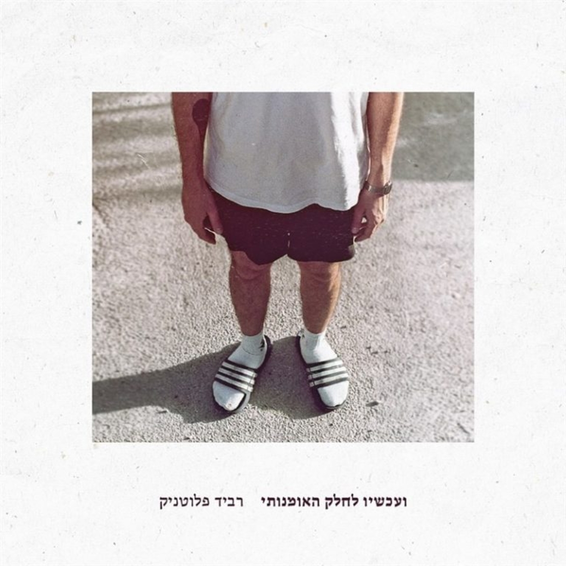 רביד פלוטניק – ועכשיו לחלק האומנותי