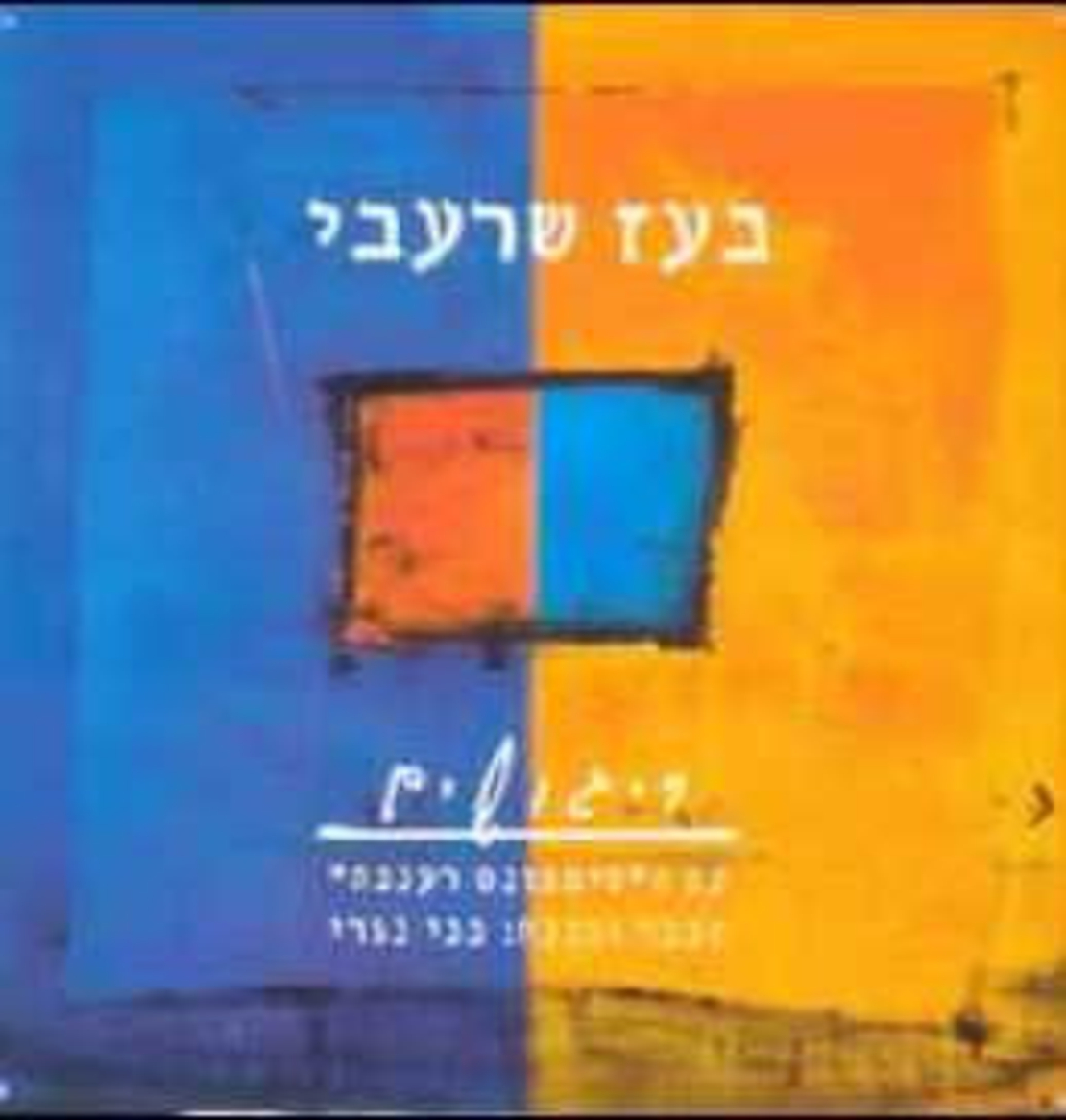 בעז שרעבי – ריגושים