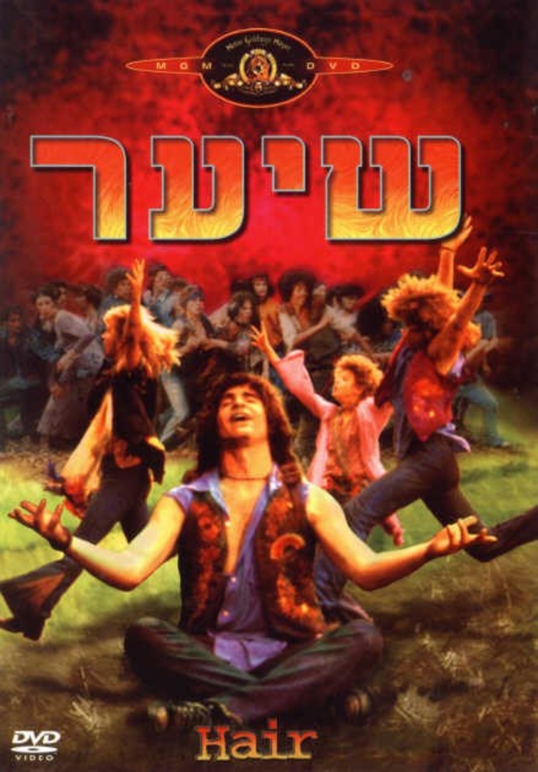 שיער  DVD Hair