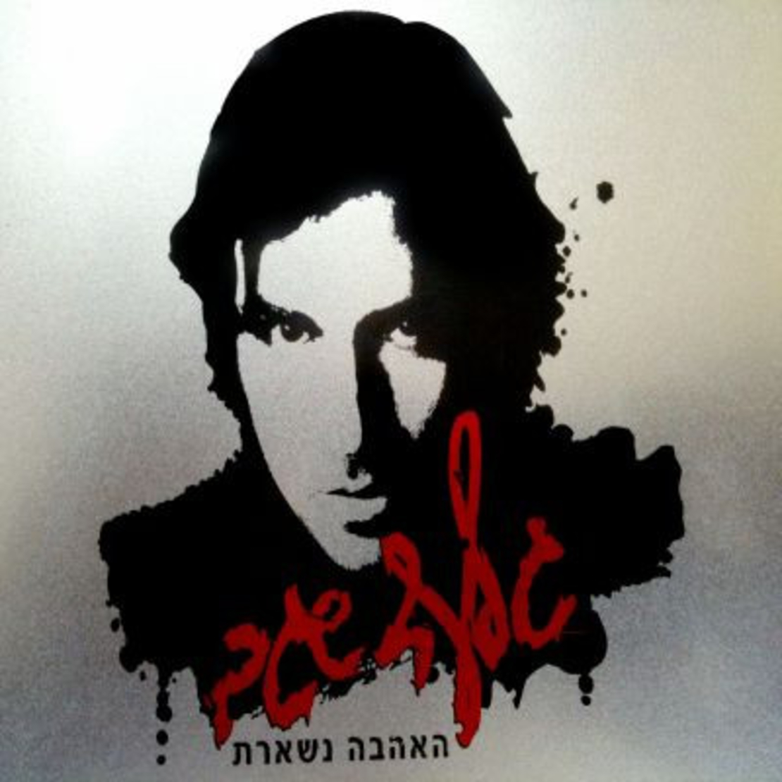 גלעד שגב- האהבה נשארת