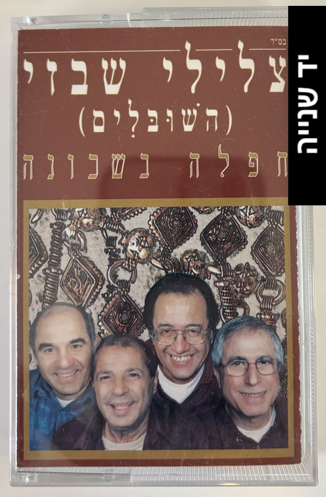 צלילי שבזי (השובלים)- חפלה בשכונה