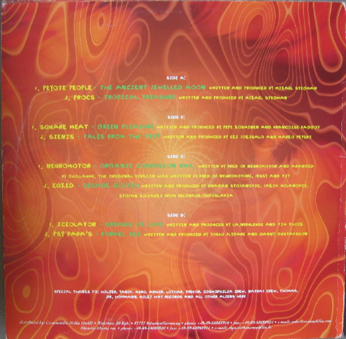 Who Cares – Scrambled Heads