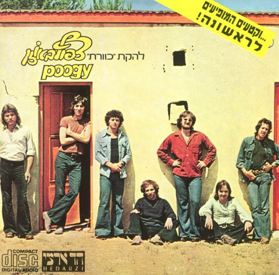 כוורת – צפוף באוזן