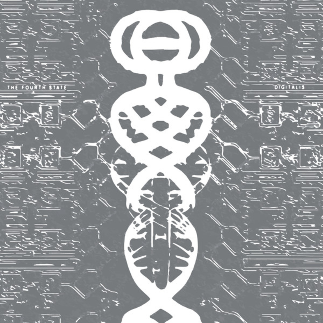 Digitalis – The Fourth State