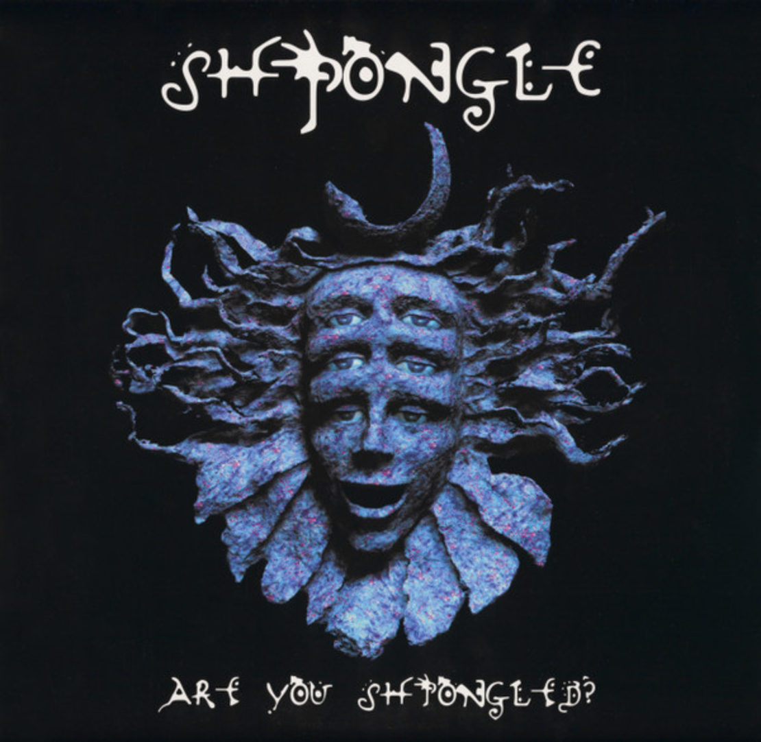 ?Shpongle – Are You Shpongled