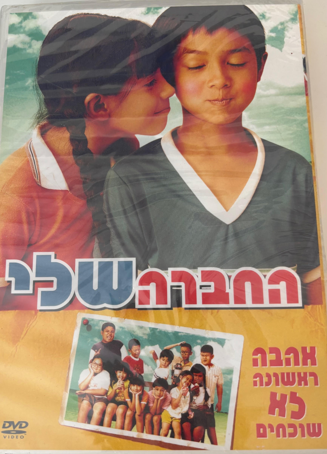 החברה שלי DVD