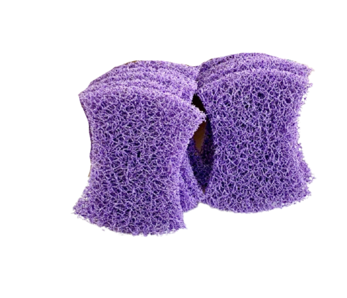 20201019_094000-removebg-preview.png
