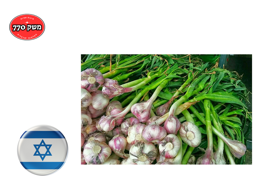 מארז שום טרי (שלם) ישראלי כ2 קילו