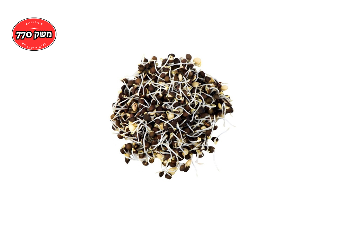 מארז נבטי עדשים שחורות