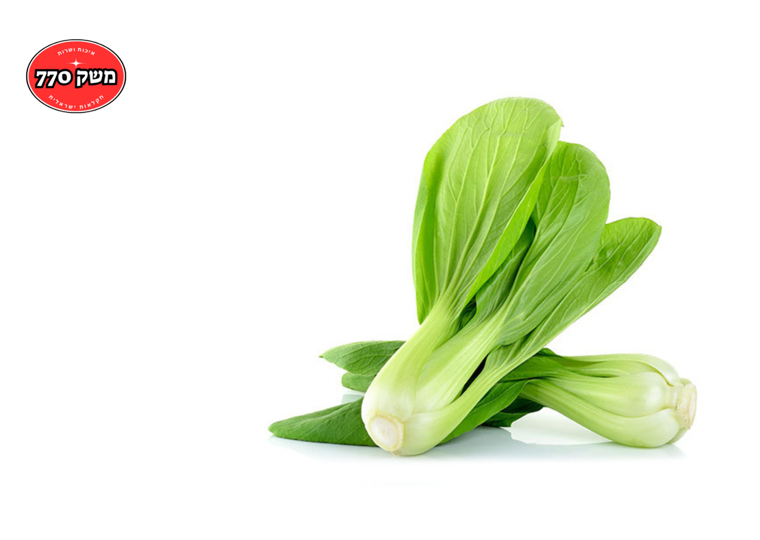 מארז באר צ'וי