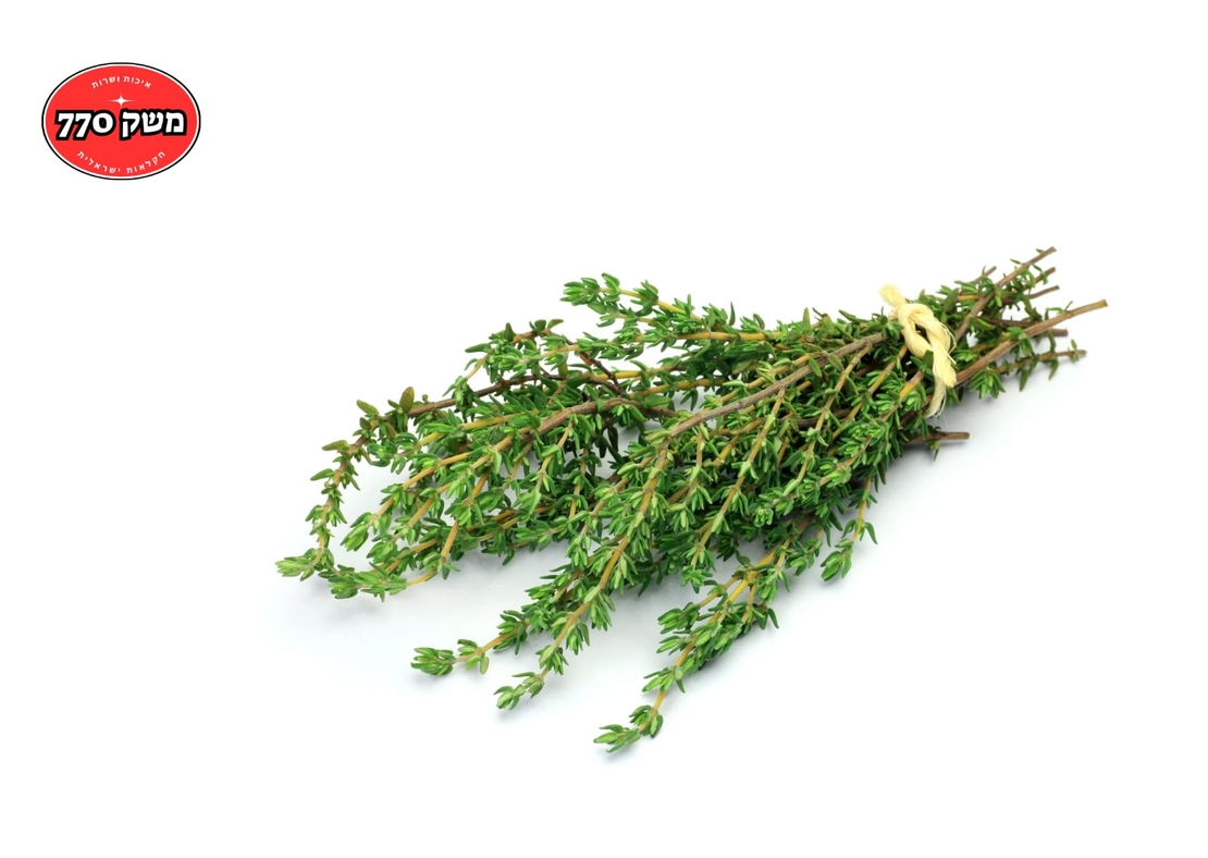 מארז קורנית/טמין