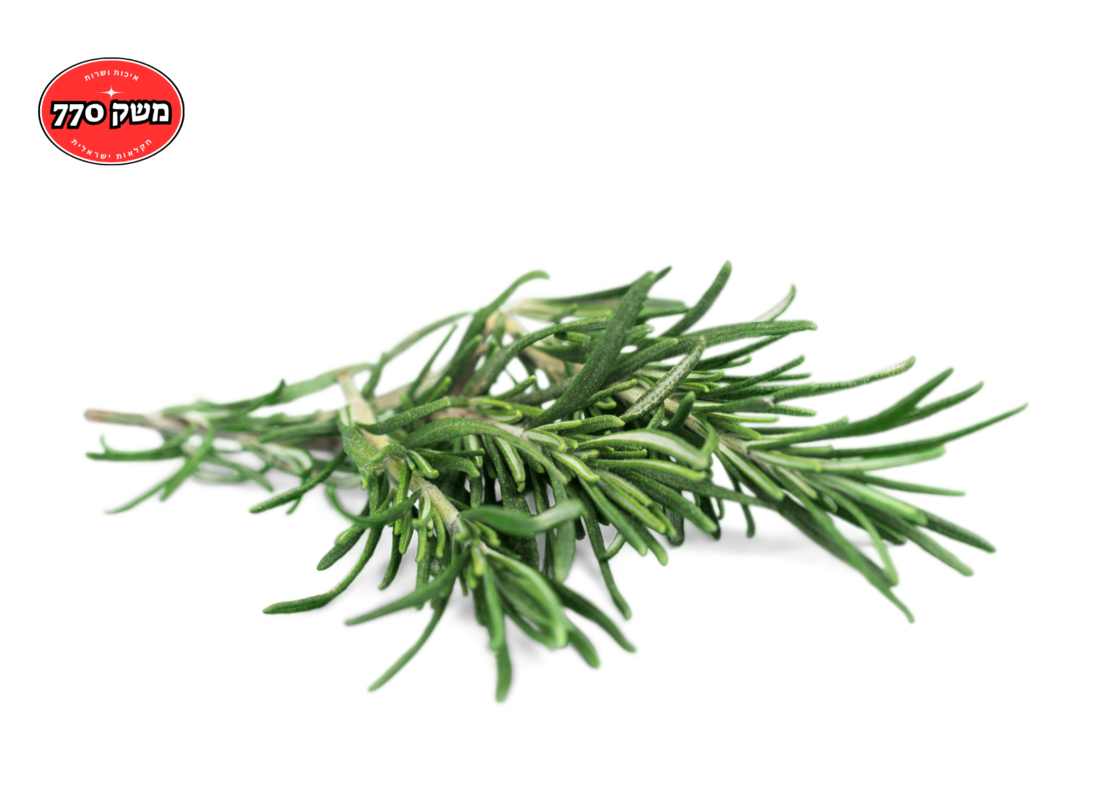 מארז רוזמרין *מהדרין*