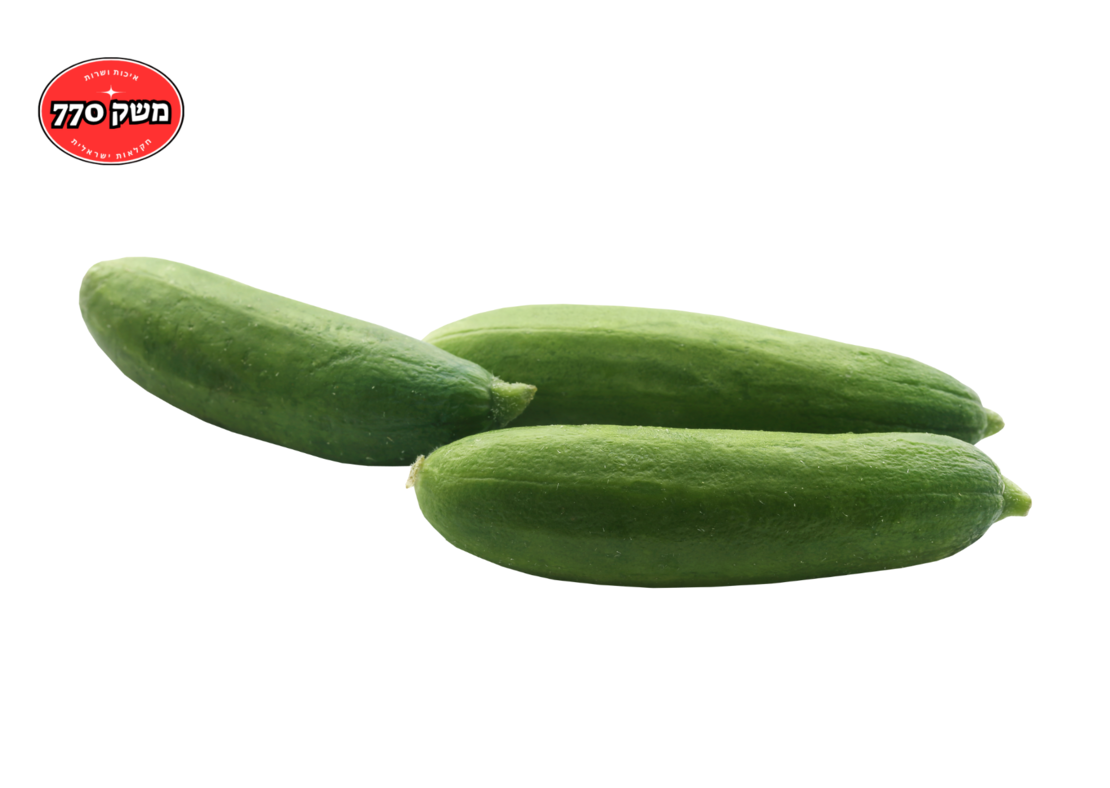 בייבי מלפפון