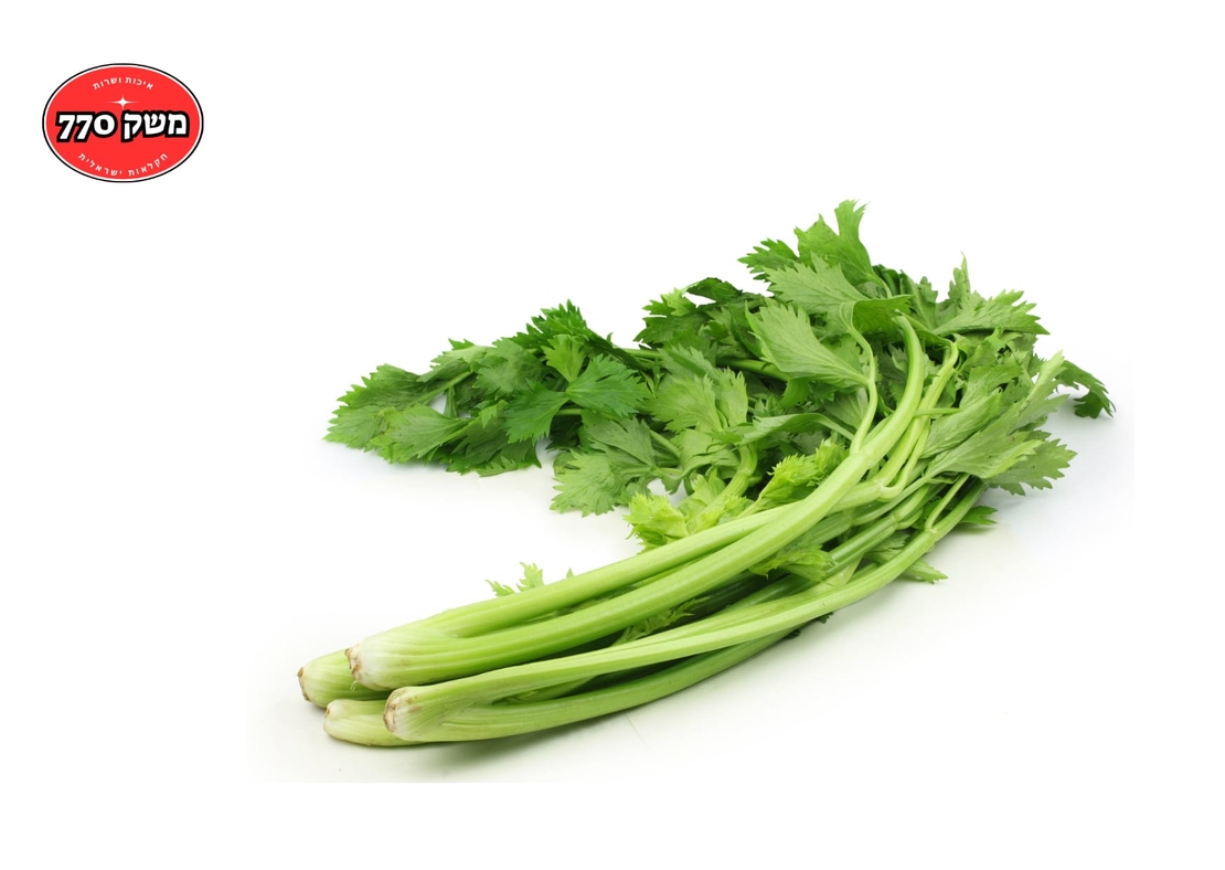 מארז סלרי ארוז