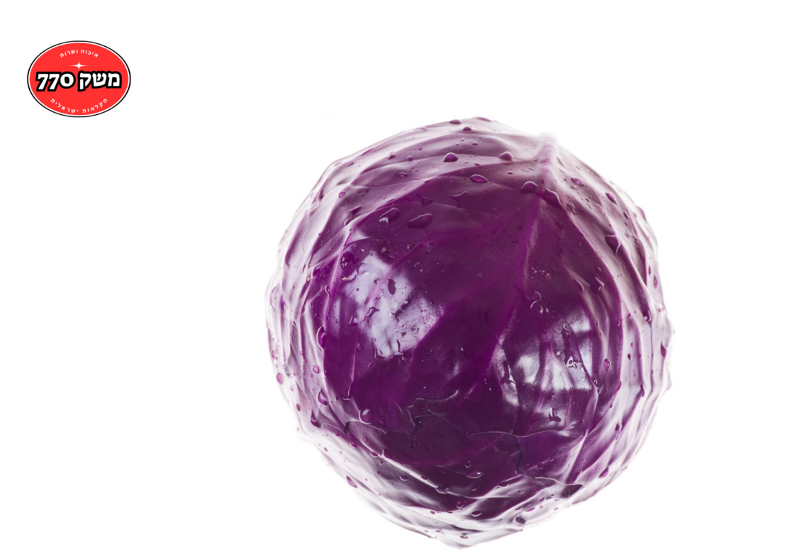 מארז כרוב סגול