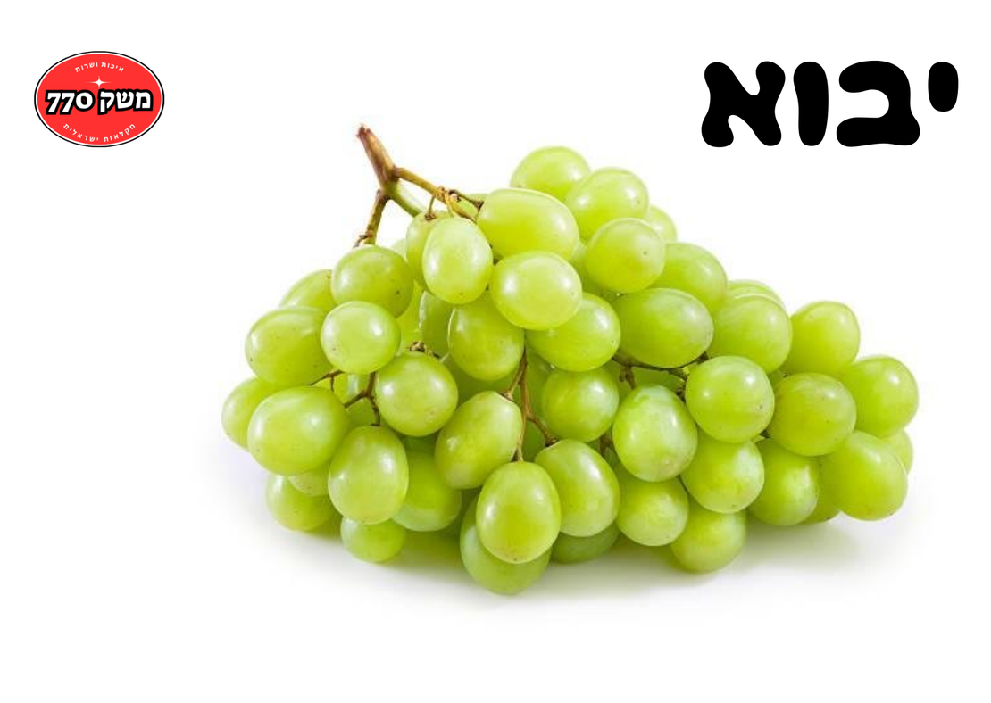 מארז ענבי אוטום קריספ גדול ומתוק(יבוא) 550-600 גרם