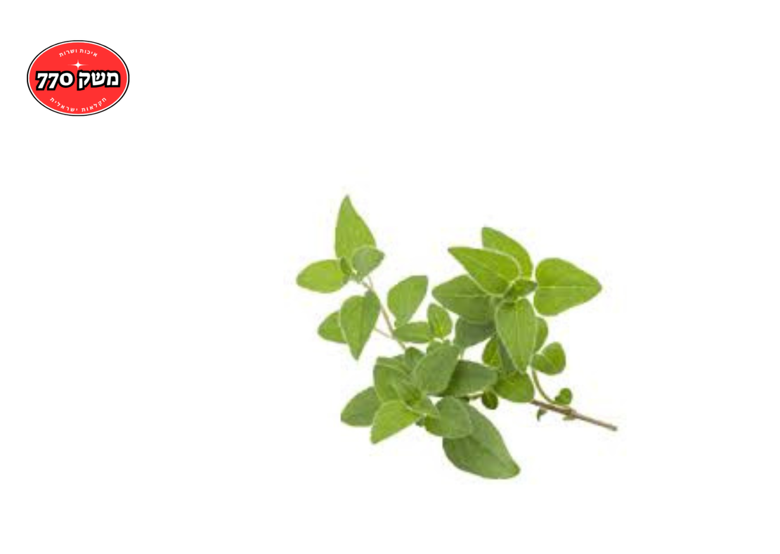 מארז זעתר *מהדרין*