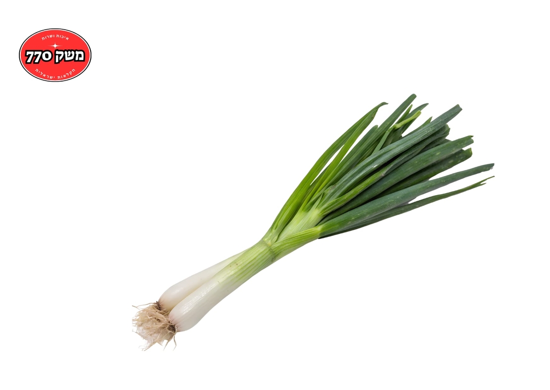 מארז בצל ירוק