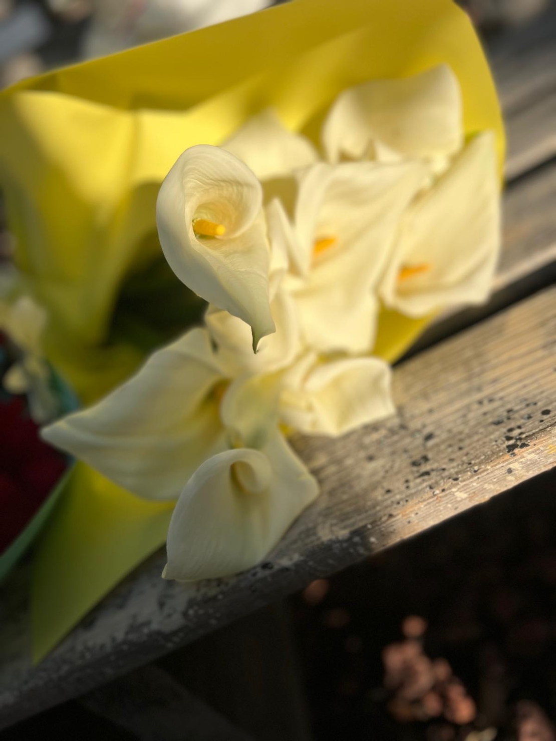 זר 10 קלות לבנות