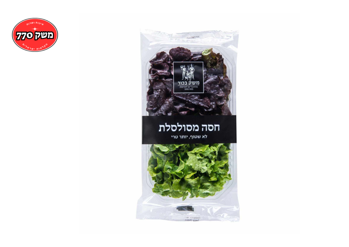 חסה מסולסלת