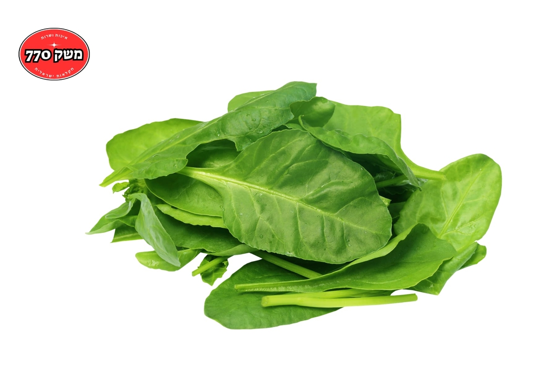 מארז תרד ניו זילנדי